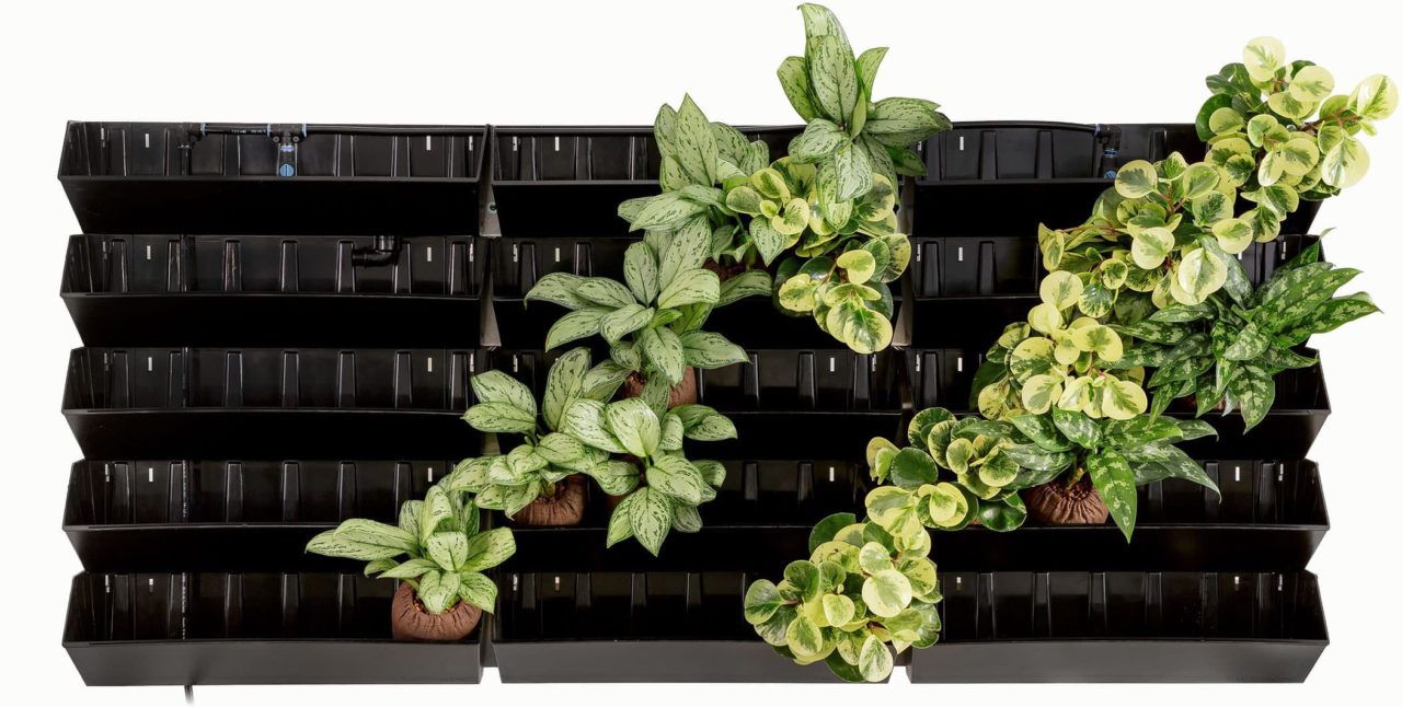innogreen moduuli kasviseinä