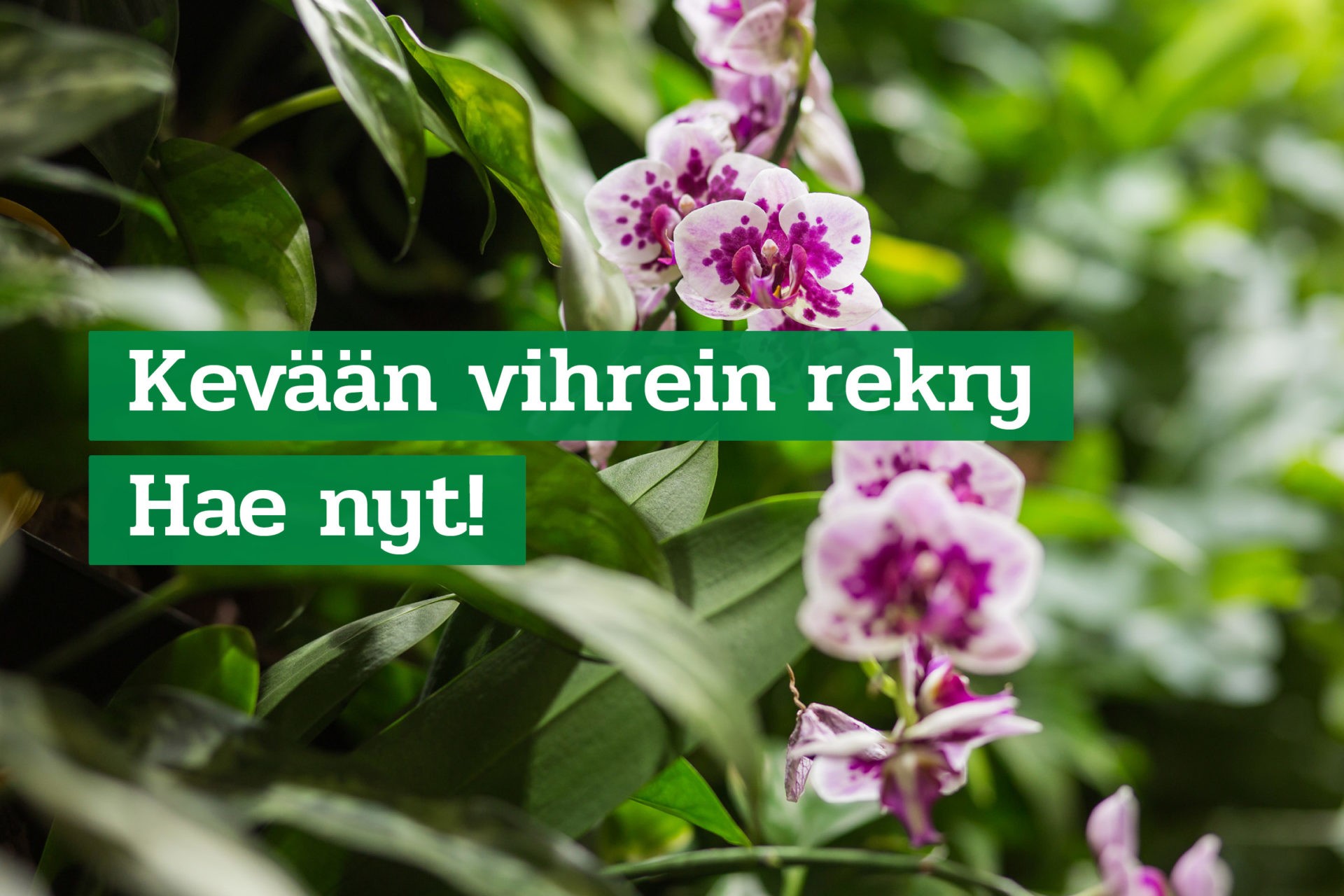 innogreen rekry