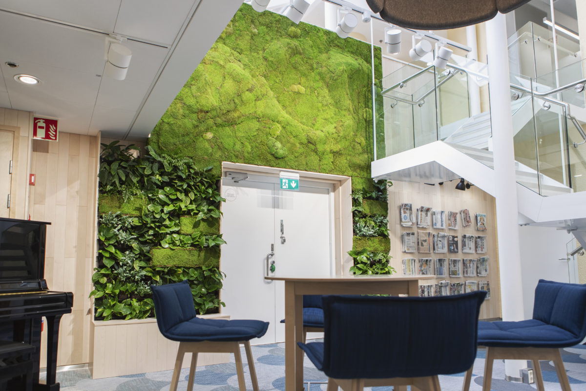 MTK innogreen viherseinä sammalseinä