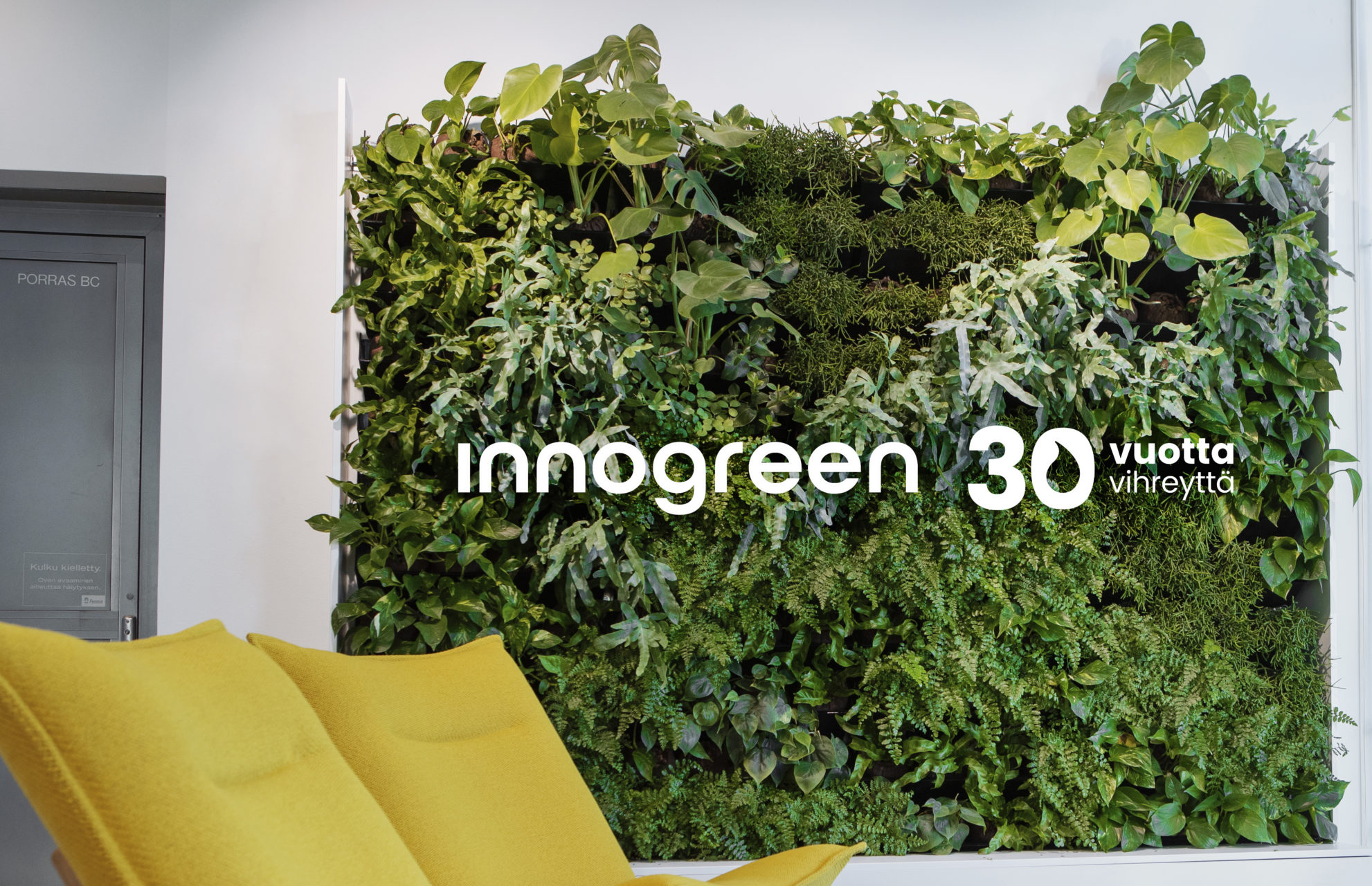 innogreen viherseinä 30 vuotta