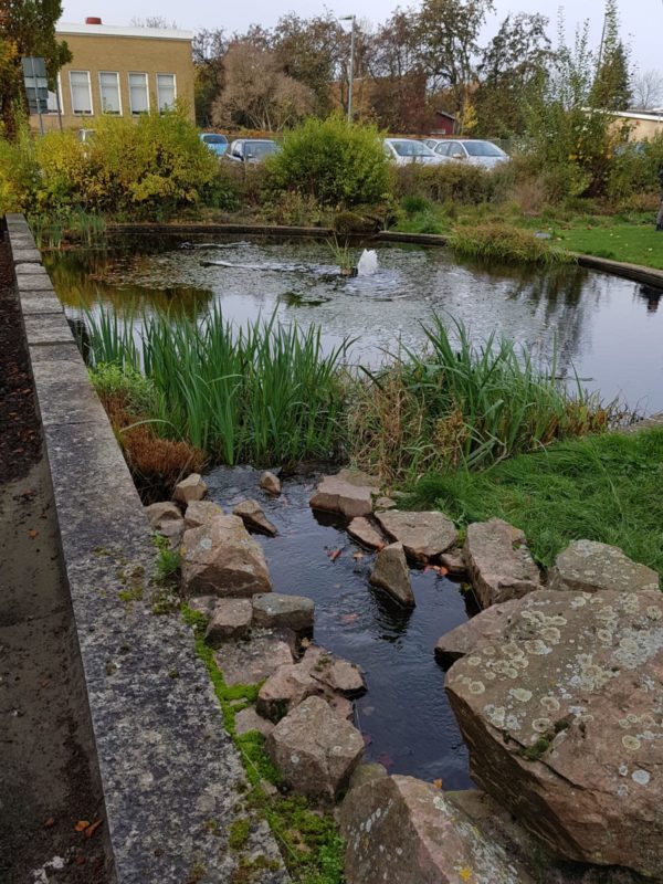 virtuaalivehreä innogreen forum virium