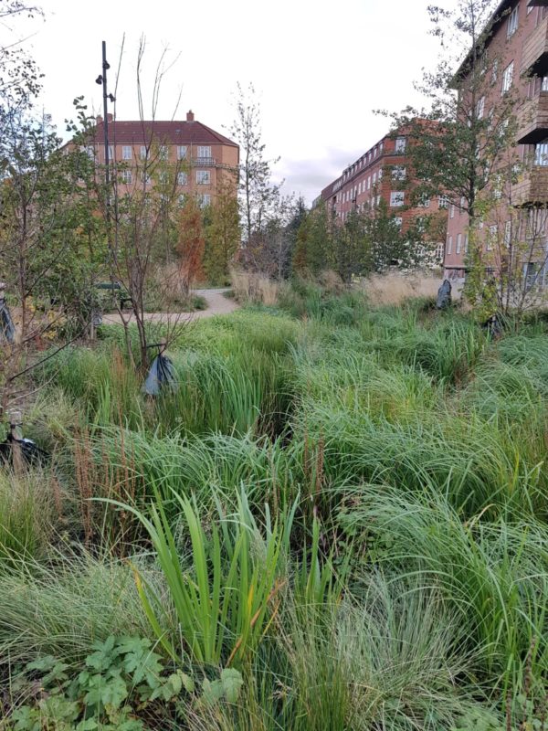 virtuaalivehreä innogreen forum virium