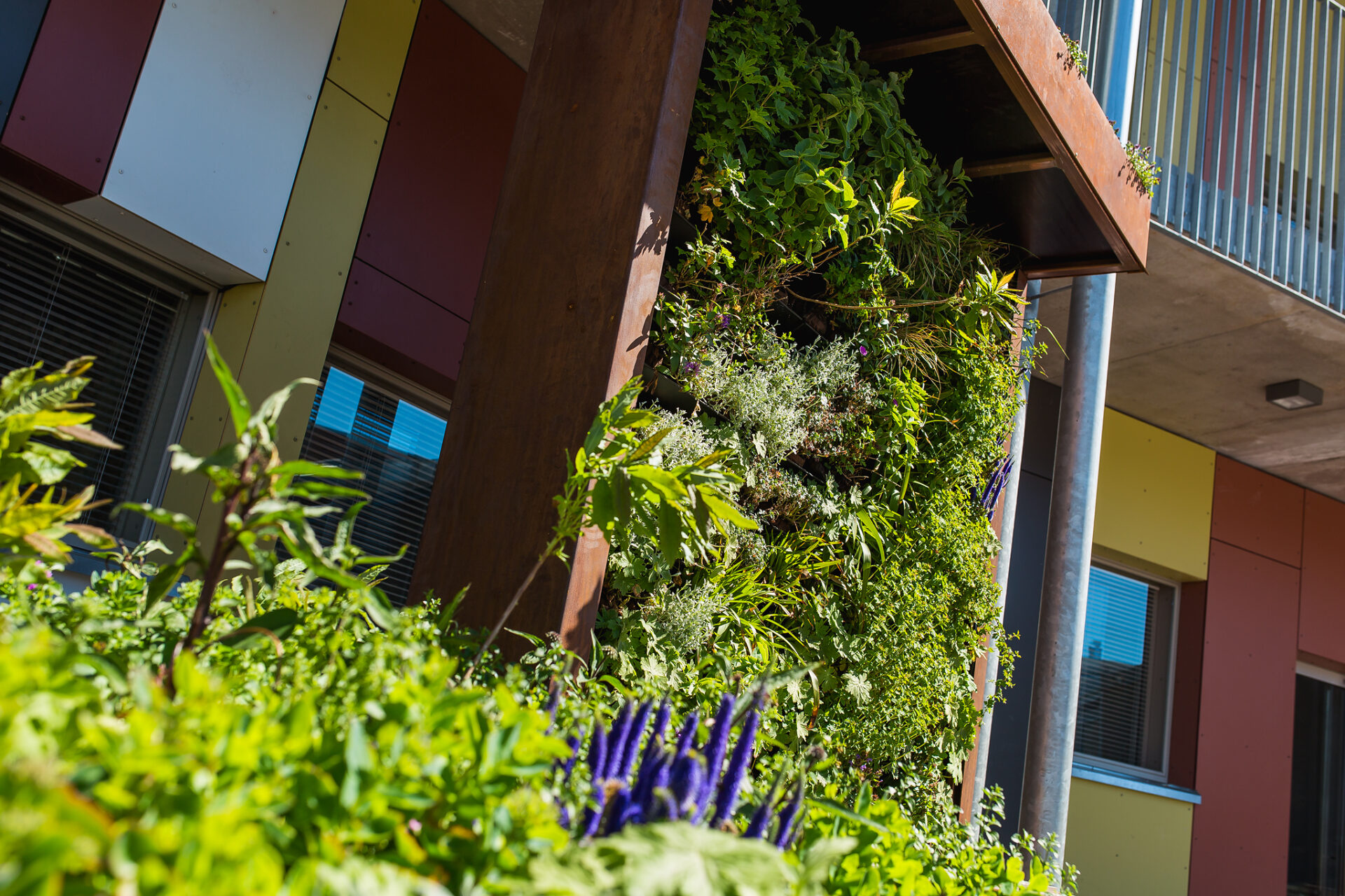 innogreen kalasatama hulevesi