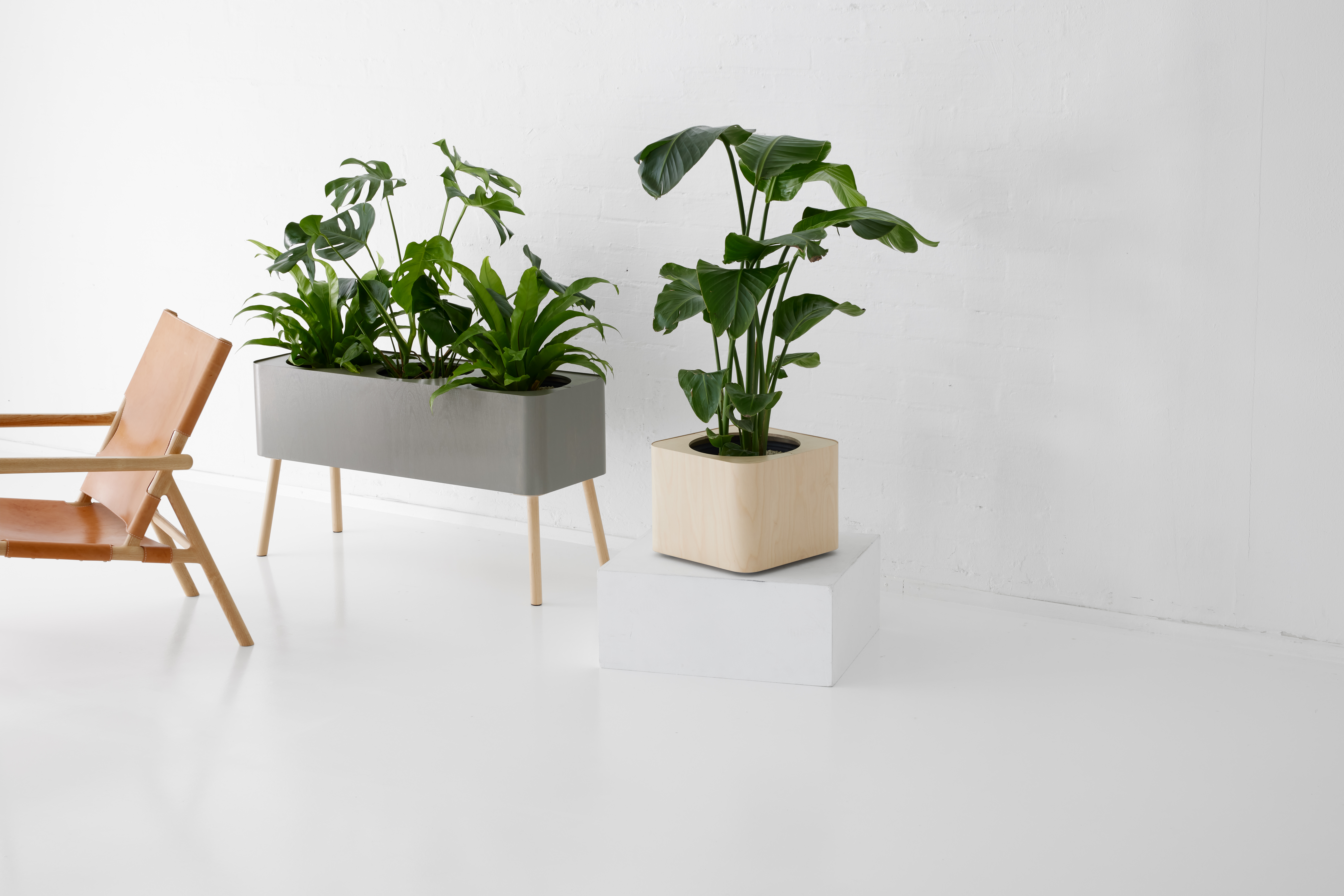 innogreen pot koivu