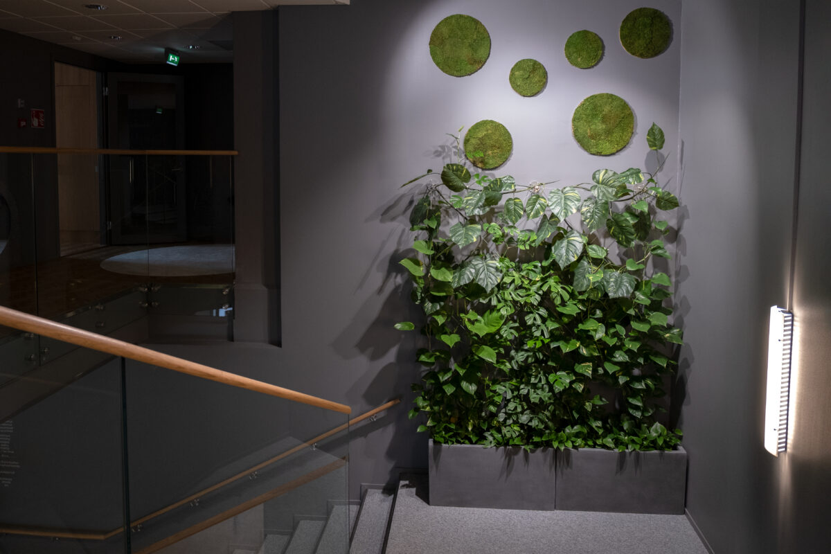 innogreen taiktahti