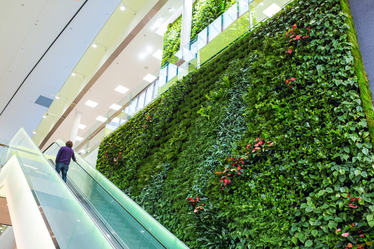 innogreen green wall