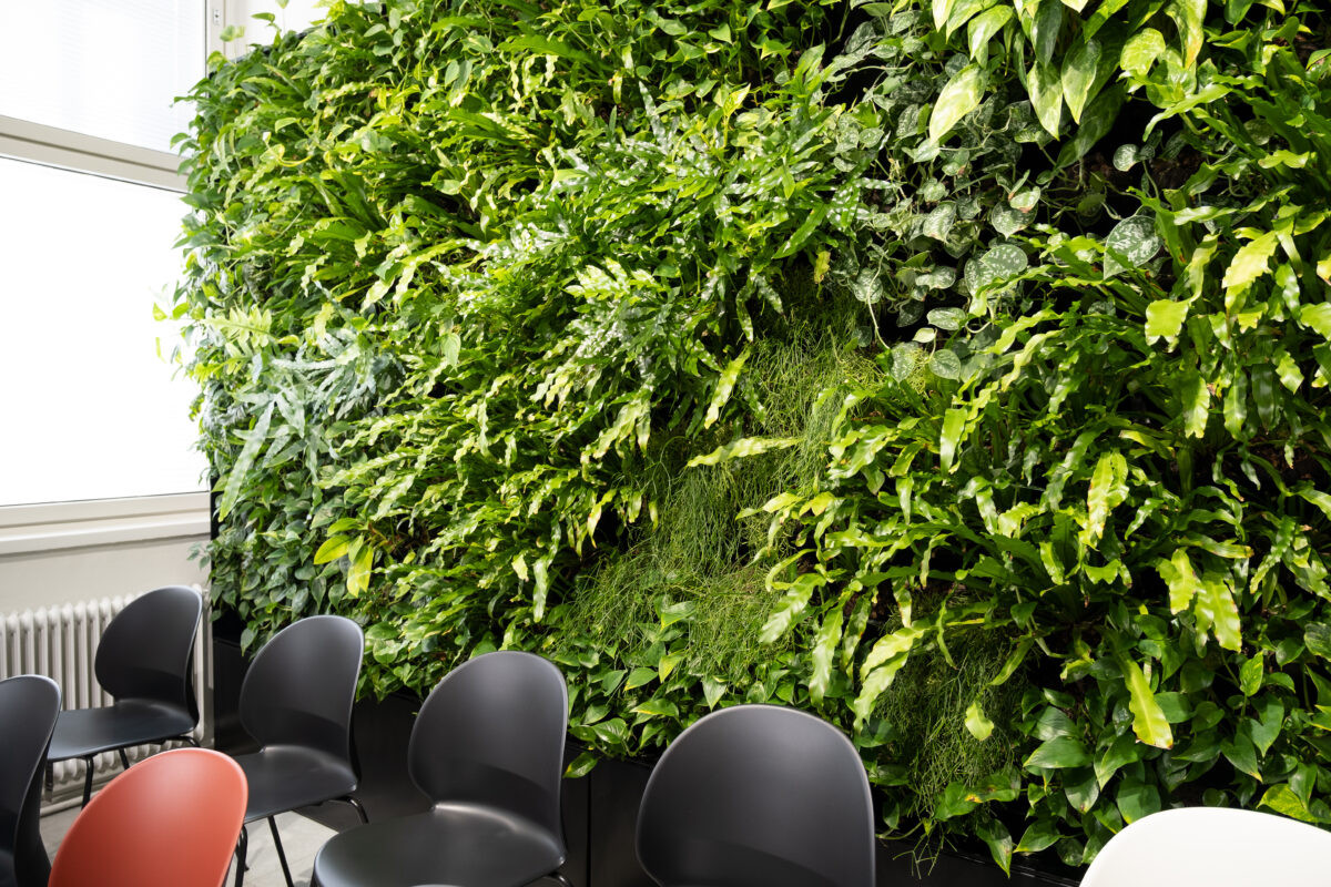 innogreen green wall